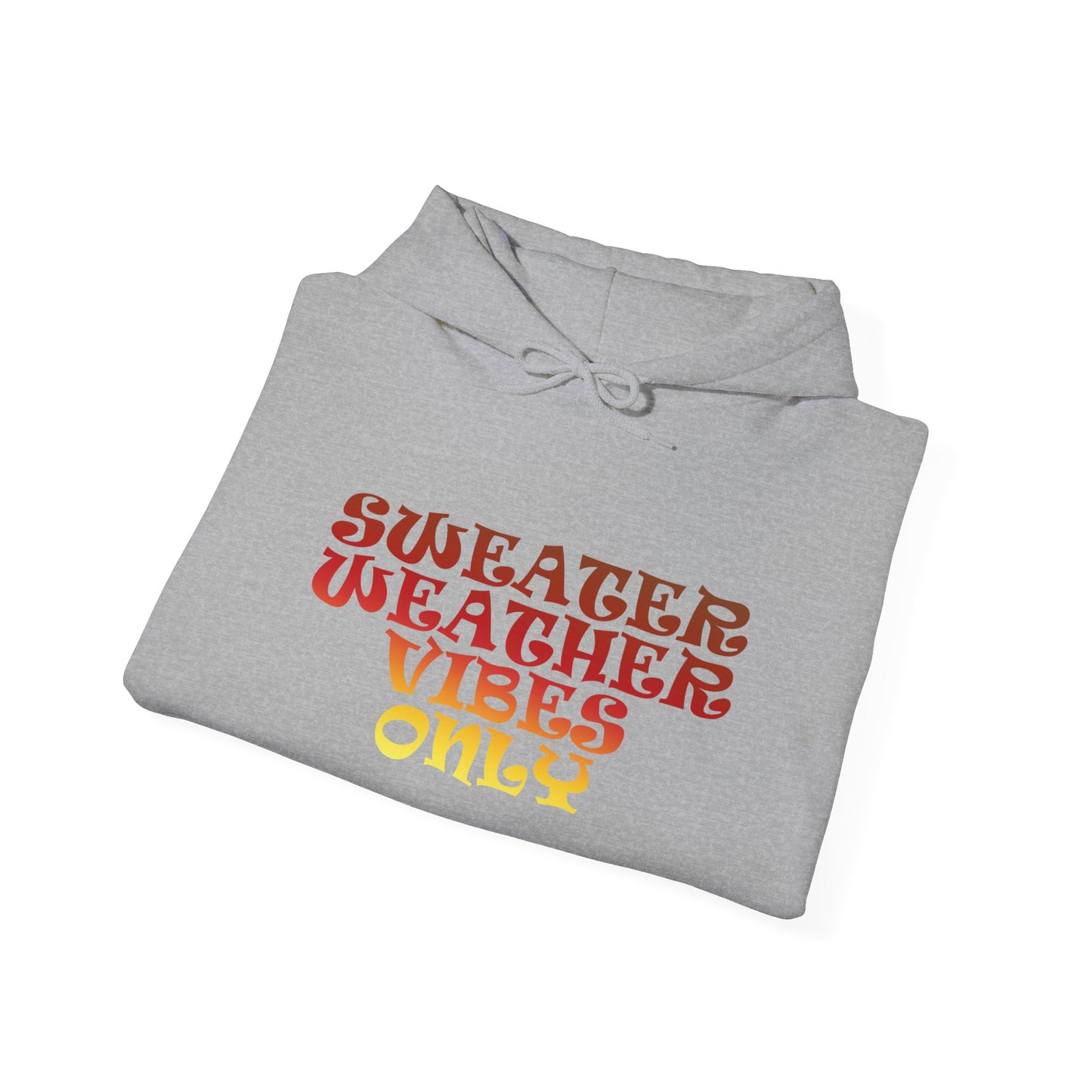 Sweater Weather Vibes Only Hooded Sweatshirt