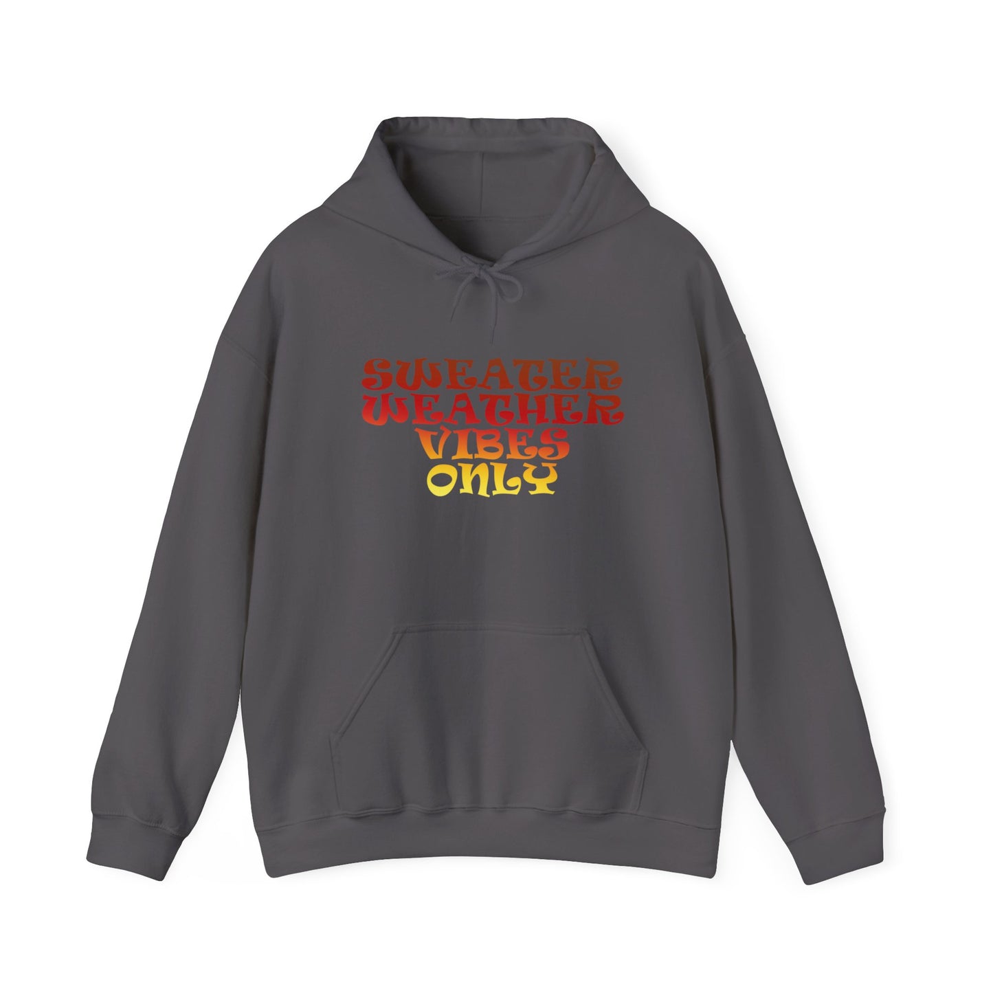 Sweater Weather Vibes Only Hooded Sweatshirt